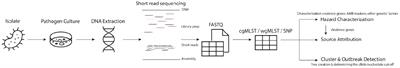 Use of whole genome sequencing for surveillance and control of foodborne diseases: status quo and quo vadis